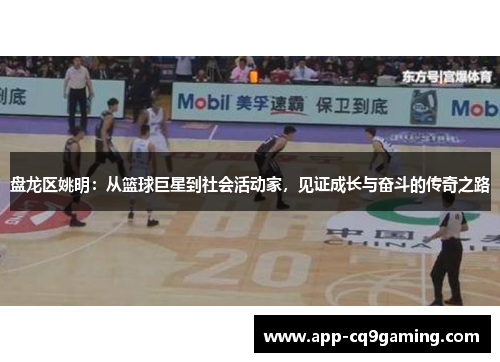 盘龙区姚明：从篮球巨星到社会活动家，见证成长与奋斗的传奇之路